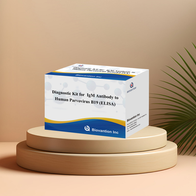 फैक्टरी प्रत्यक्ष बिक्री B19 ELISA Kit For Human Parvovirus B19 IgM एंटीबॉडी एलिसा टेस्ट किट 96T के साथ