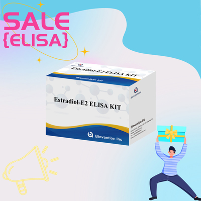 फैक्टरी मूल्य E2 ELISA टेस्ट किट इन विट्रो डिटेक्शन मेडिकल डिटेक्शन उच्च परिशुद्धता