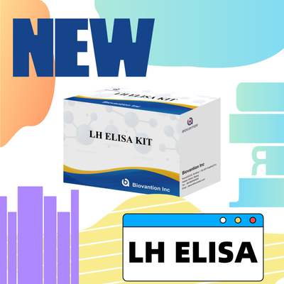 डायग्नोसिस के लिए Biovantion LH ELISA टेस्ट किट मानव ल्यूटेनाइजिंग हार्मोन LH (Quantitative) हार्मोन का पता लगाना