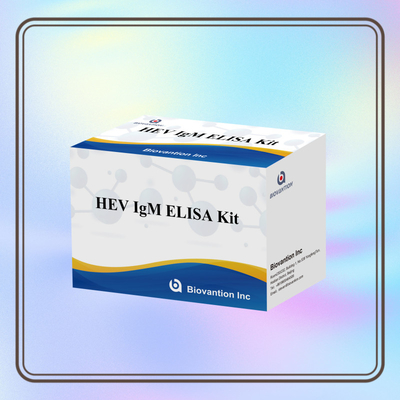 सटीक पता लगाने और विश्लेषण के लिए सटीक और संवेदनशील HEV-IgM Elisa टेस्ट किट