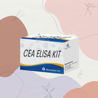 मानव ELISA अभिकर्मक CEA मात्रात्मक ELISA टेस्ट किट रक्त या सीरम परीक्षण 96T