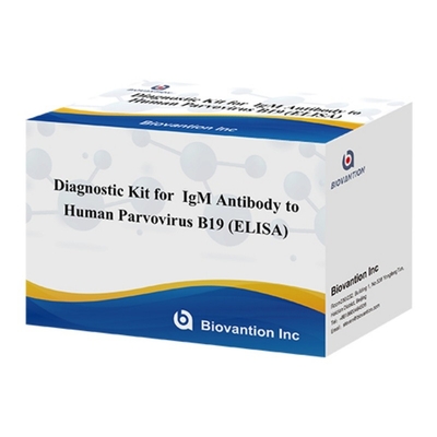 मानव पार्वोवायरस B19 IgM एंटीबॉडी ELISA के लिए डायग्नोस्टिक किट एरिथेमा इंफेक्टिओसम और गर्भावस्था में जटिलताओं के लिए आदर्श