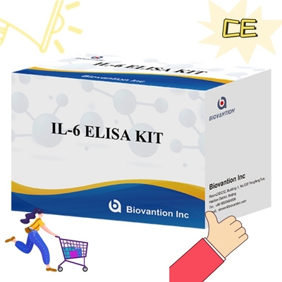 उच्च संवेदनशीलता ELISA किट IL6 का पता लगाने के लिए सटीक साइटोकिन विश्लेषण के लिए विश्वसनीय अनुसंधान अभिकर्मक