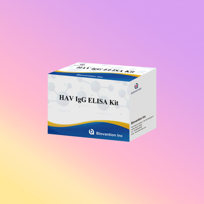उच्च संवेदनशीलता HAV IgG ELISA किट सटीक हेपेटाइटिस ए वायरस का पता लगाना क्लिनिकल और अनुसंधान उपयोग के लिए विश्वसनीय सीई प्रमाणित