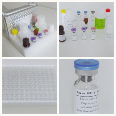 तपेदिक-इंटरफेरॉन गामा रिलीज़ एसेस एलिसा किट Biovantion द्वारा निर्मित