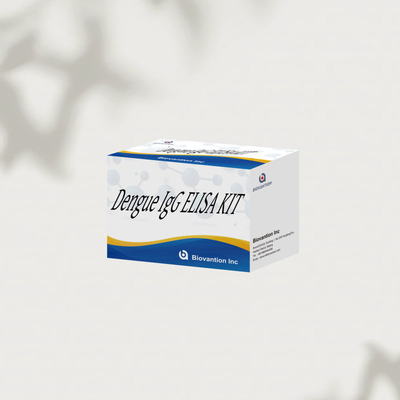 संवेदनशील और सटीक परिणामों के लिए उच्च-प्रदर्शन डेंगू IgG ELISA किट 96 परीक्षण