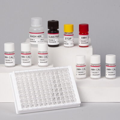 High Sensitivity AMH Elisa Test Kit for Serum Plasma with 2-8°C Storage