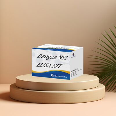 18 महीने शेल्फ लाइफ डेंगू IgM ELISA टेस्ट किट, उच्च संवेदनशीलता के साथ और अस्पताल प्रयोगशाला निदान के लिए 96 टेस्ट/किट