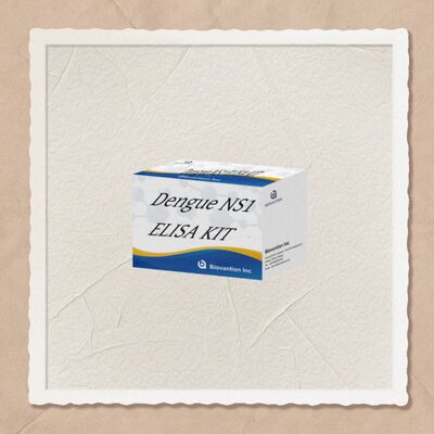 18 महीने शेल्फ लाइफ डेंगू IgM ELISA टेस्ट किट, उच्च संवेदनशीलता के साथ और अस्पताल प्रयोगशाला निदान के लिए 96 टेस्ट/किट