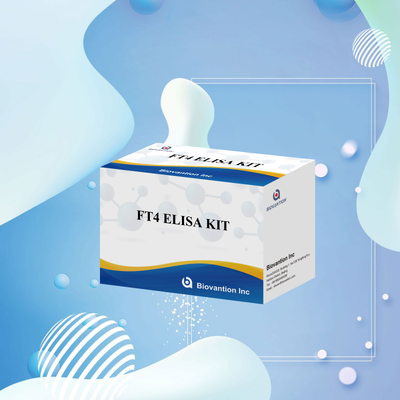 थायरॉयड विकारों के लिए 98% विशिष्टता और 95% संवेदनशीलता के साथ सटीक FT4 एलिसा टेस्ट किट (96 परीक्षण)