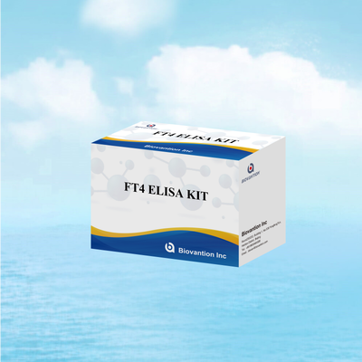 थायरॉयड विकारों के लिए 98% विशिष्टता और 95% संवेदनशीलता के साथ सटीक FT4 एलिसा टेस्ट किट (96 परीक्षण)