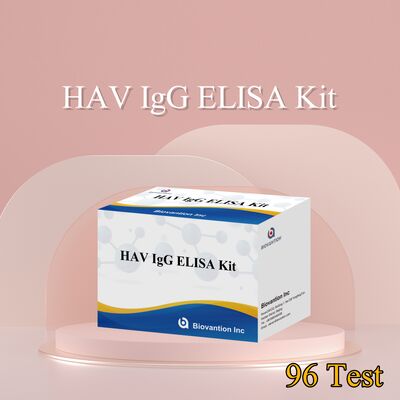 उच्च संवेदनशीलता HAV IgG ELISA Kit (0.2 ng/mL) 96 परीक्षणों में सटीक हेपेटाइटिस ए वायरस का पता लगाने के लिए CE प्रमाणित