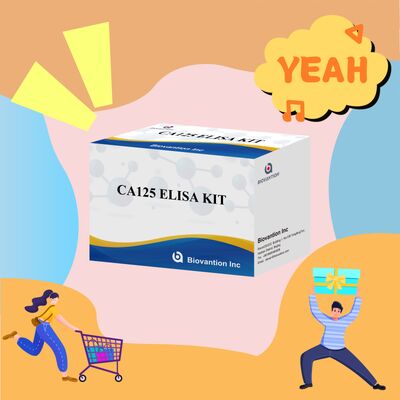 उच्च संवेदनशीलता CA125 ELISA टेस्ट किट, 96 टेस्ट और सटीक कैंसर निदान के लिए 1 घंटे का परख समय