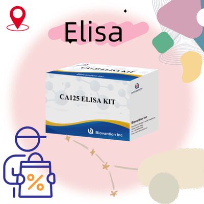 उच्च संवेदनशीलता CA125 ELISA टेस्ट किट, 96 टेस्ट और सटीक कैंसर निदान के लिए 1 घंटे का परख समय