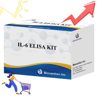 उच्च संवेदनशीलता ELISA किट IL6 का पता लगाने के लिए सटीक साइटोकिन विश्लेषण के लिए विश्वसनीय अनुसंधान अभिकर्मक
