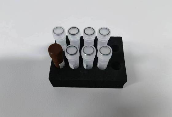 डेंगू पीसीआर परीक्षण 48 परीक्षणों के साथ उच्च गुणवत्ता का पता लगाना