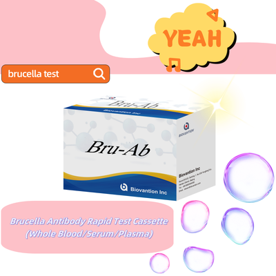 मानव ब्रूसेला IgG/IgM एंटीबॉडी ELISA किट मानव नमूना का पता लगाने के लिए ब्रूसेलोसिस सीरम डायग्नोस्टिक ELISA टेस्ट किट